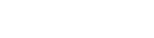 Nippon Check